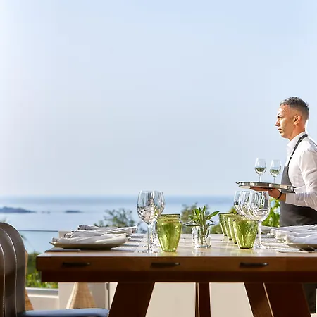 Willa Grace Collection