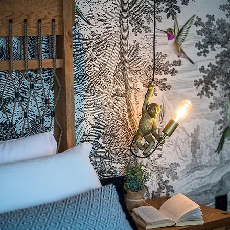 Willa Grace Collection *